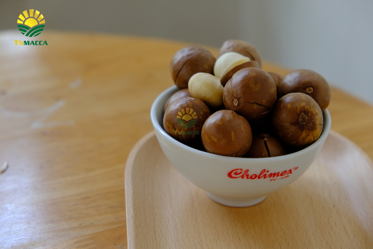 Hạt macca Mỹ : 4 sản phẩm chính được chế biến từ hạt macca Mỹ